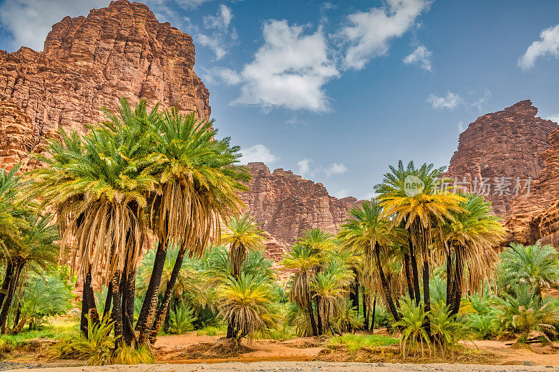 Wadi Al Disah沙特阿拉伯绿洲景观